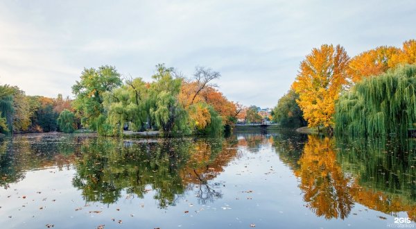 Центральный парк Саратов