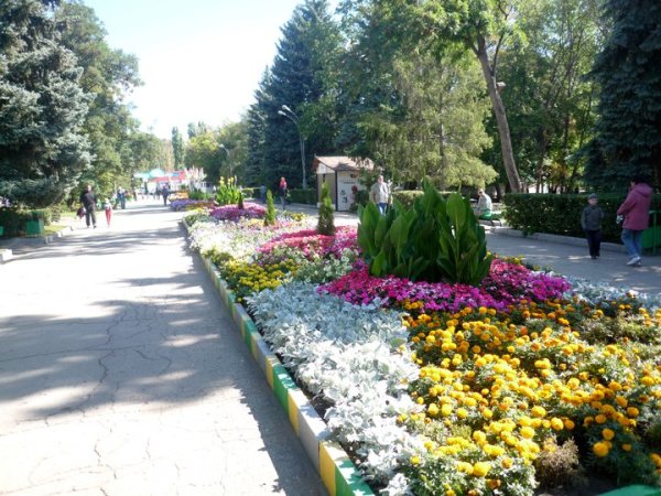 Парк культуры имени Горького Саратов