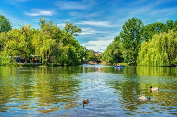 Парк культуры и отдыха Саратов