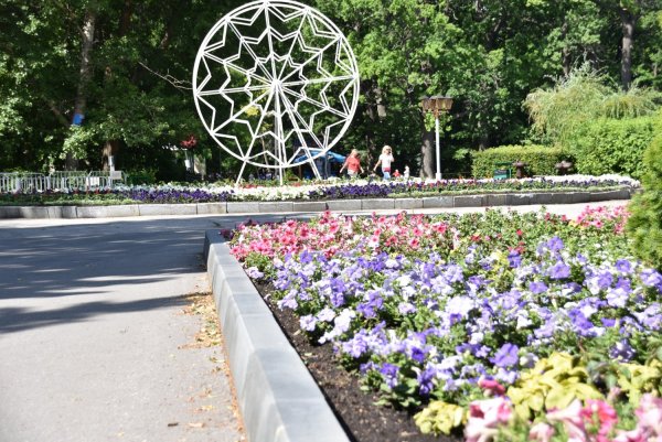 Город Саратов парк культуры