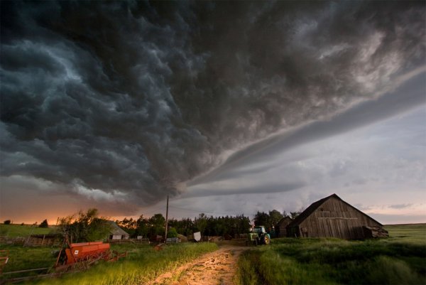 Гроза в дерево