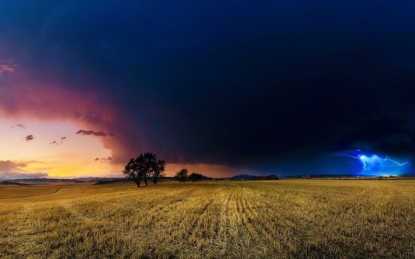 Гроза в поле