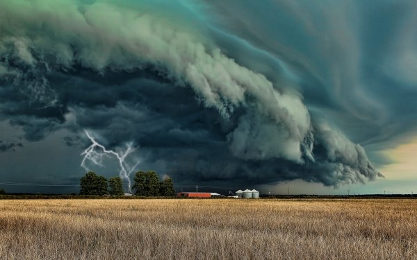 Boscov - Торнадо