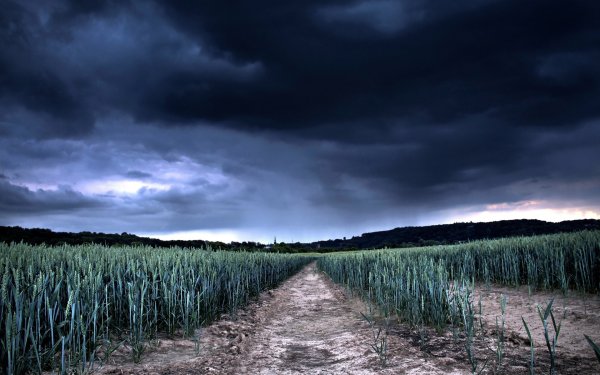 Мрачный пейзаж