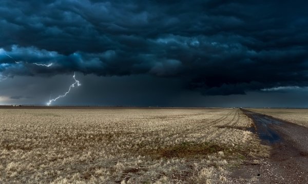 Гроза в поле