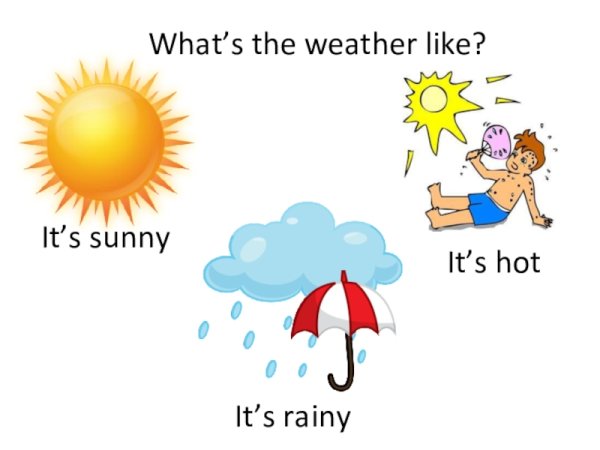 Погода спотлайт