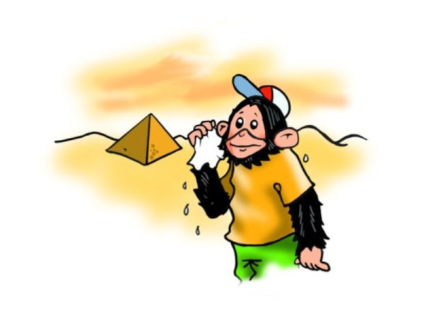 Жарко спотлайт