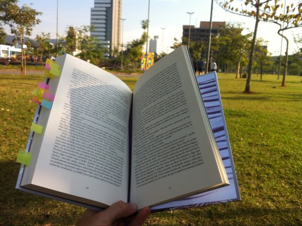 Книги в парке