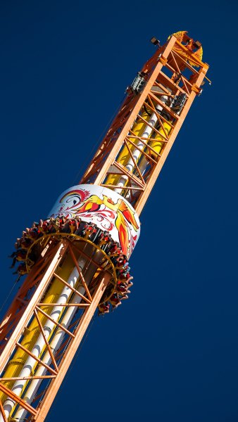 Аттракцион Жар птица Сочи