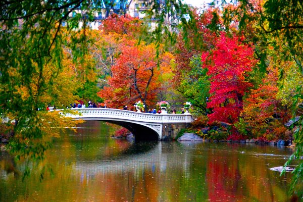 Золотая осень в Нью Йорке