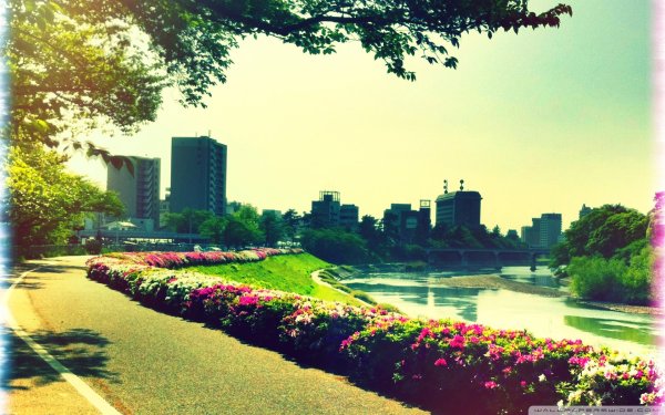 Летний город