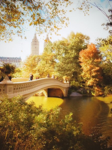 Центральный парк Нью Йорк мостик осень