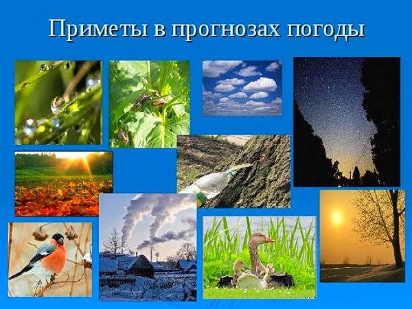 Прогноз погоды по приметам