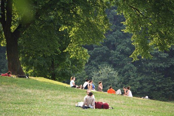 Green Picnic