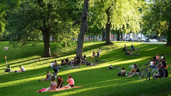 В парке летом