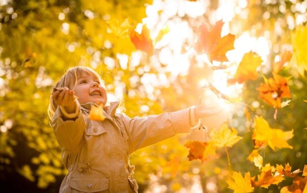 Листья для детей