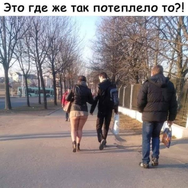 Прогулка прикол