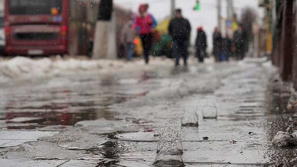 Дождь в январе