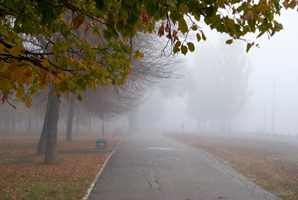 Явления природы туман