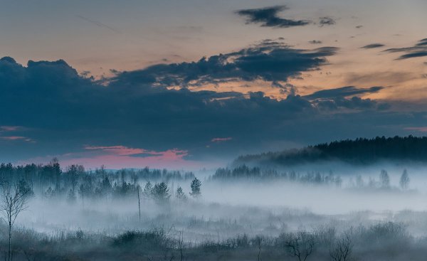 Красивый туман