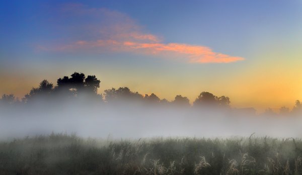 Дневной туман