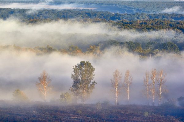 Туманная дымка