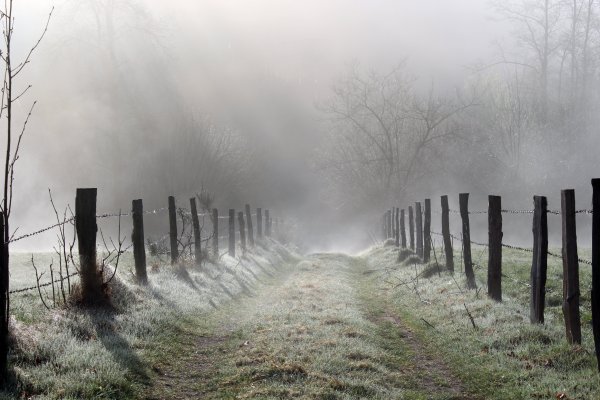 Туманный забор