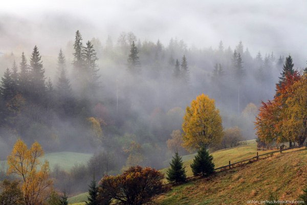 Туман осенью