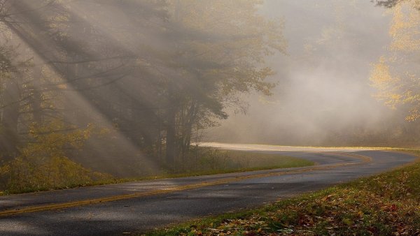 Туман пасмурно