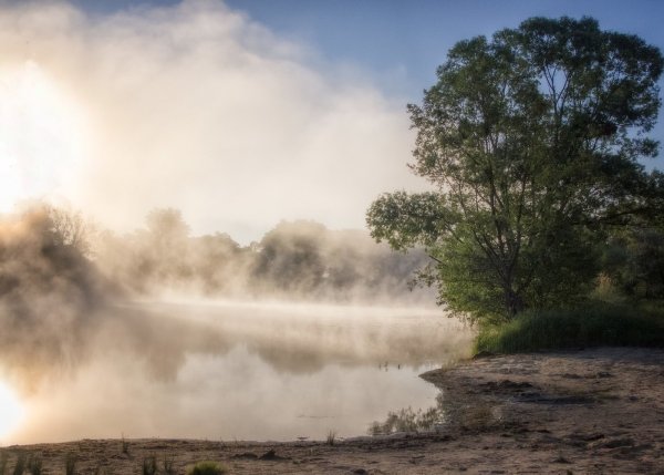 Туман умеренный