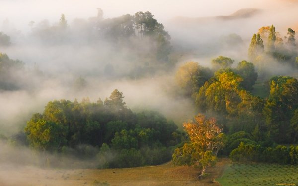 Необычный туман