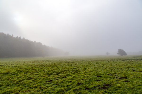 Фронтальный туман