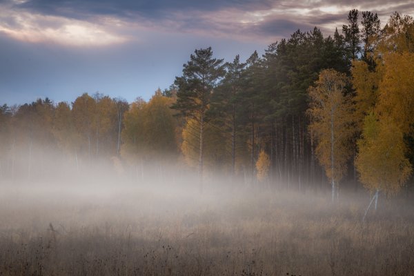 Туман осенью