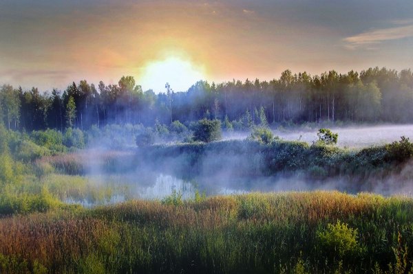 Туман картинки