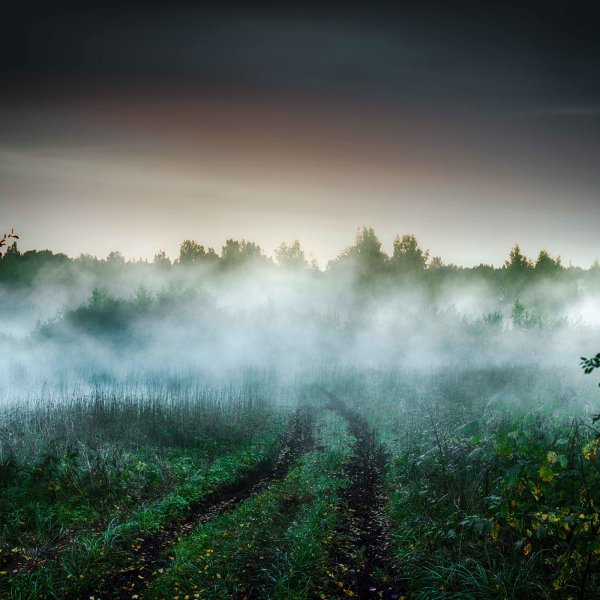 Красивый туман