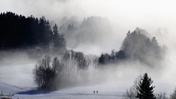 Морозный туман