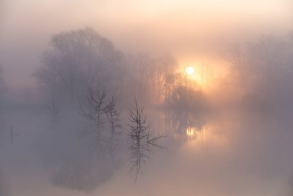 Пейзаж густой туман
