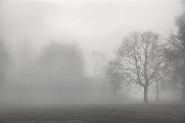 Серый туман