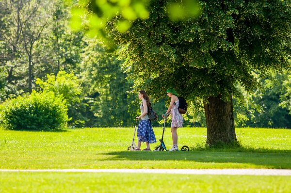 Прогулка в парке