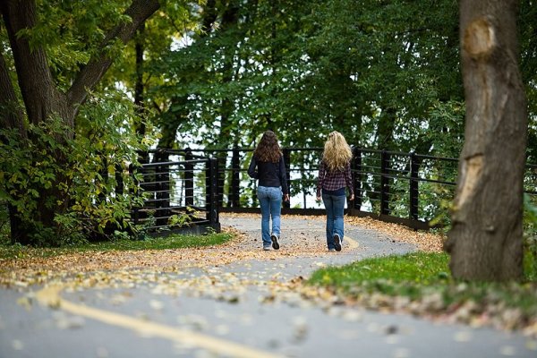 Гулять в парке