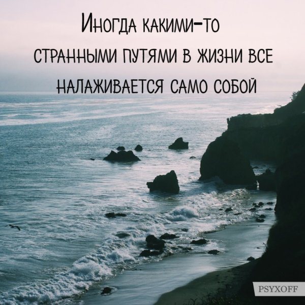 Жизнь налаживается цитаты