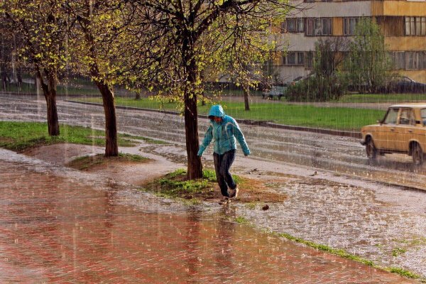 Весна дождь
