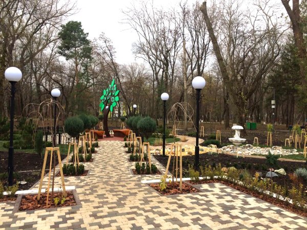 Парк Островского Ростов