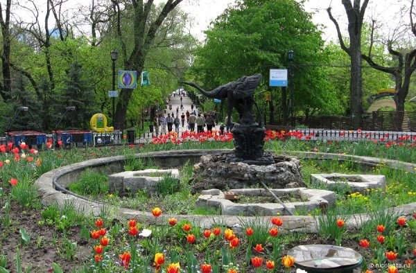 Парк им Максима Горького Ростов-на-Дону