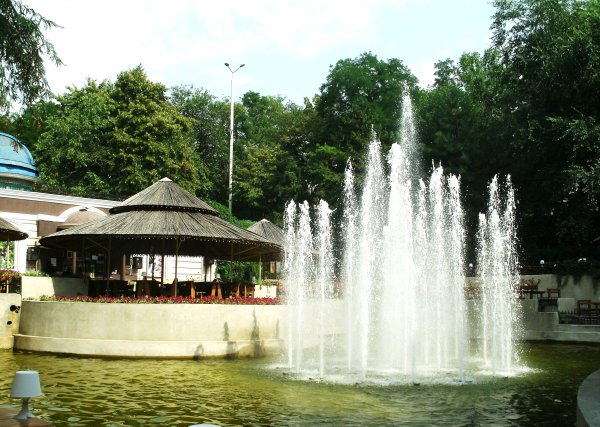 Центральный парк имени Горького Ростов-на-Дону