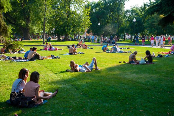 Парк Горького пикниковая зона