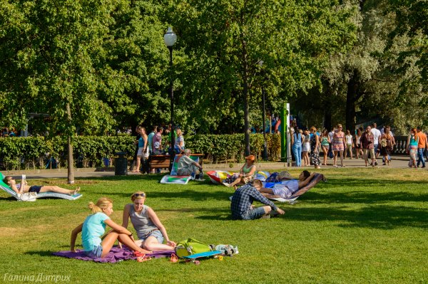 Люди отдыхают в парке