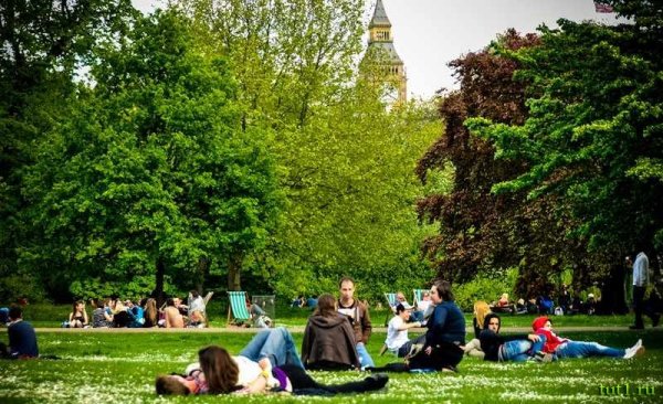 Люди на лужайке в парке