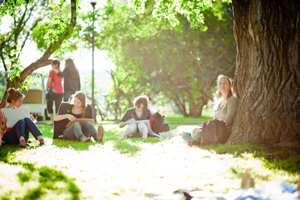 Люди в парке