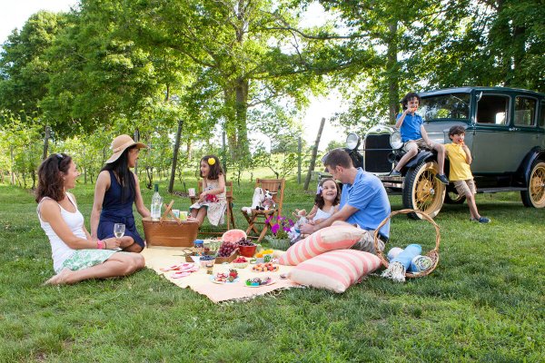 Семья на пикнике